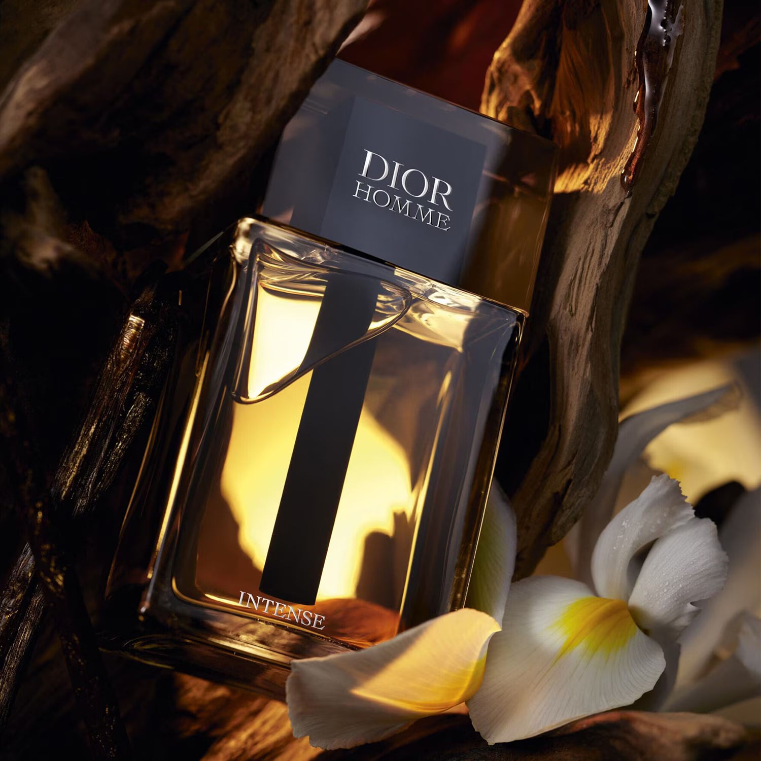 Dior – Homme Intense