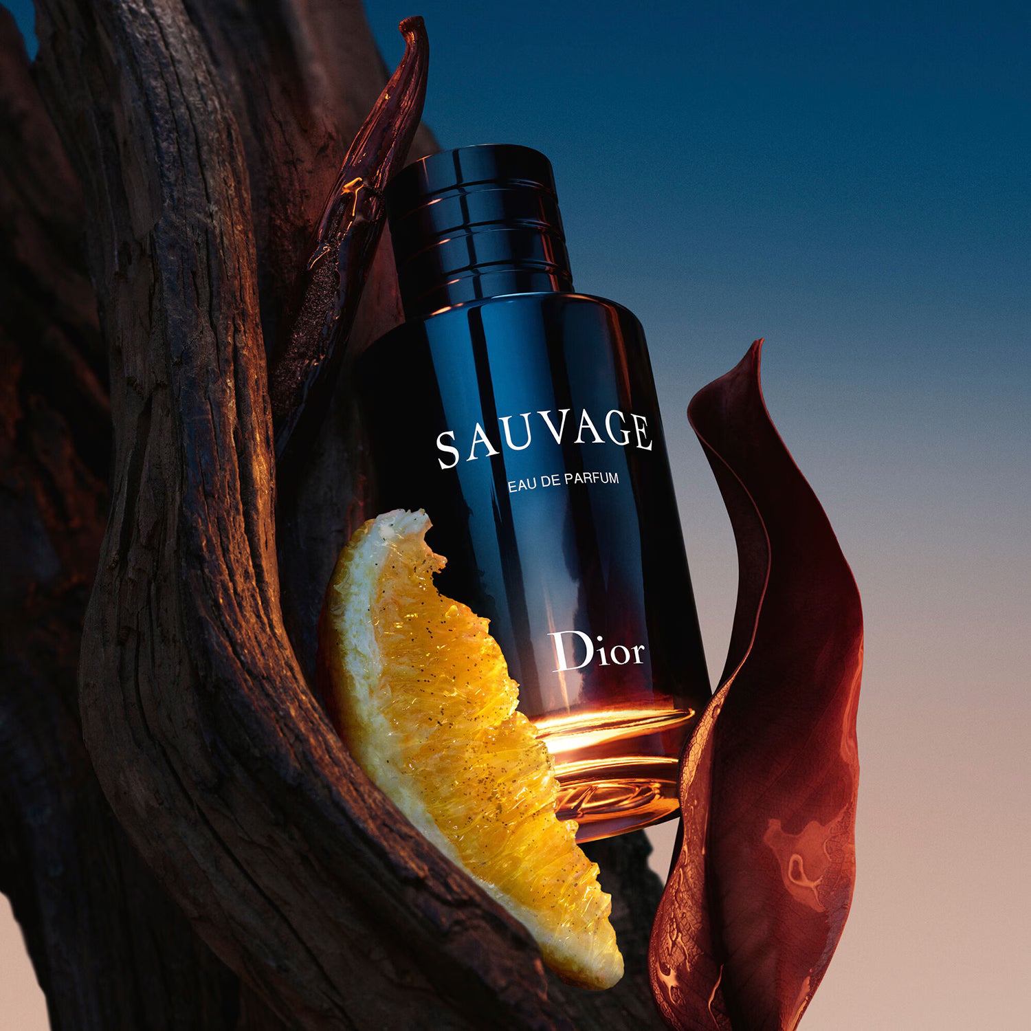 Dior – Sauvage